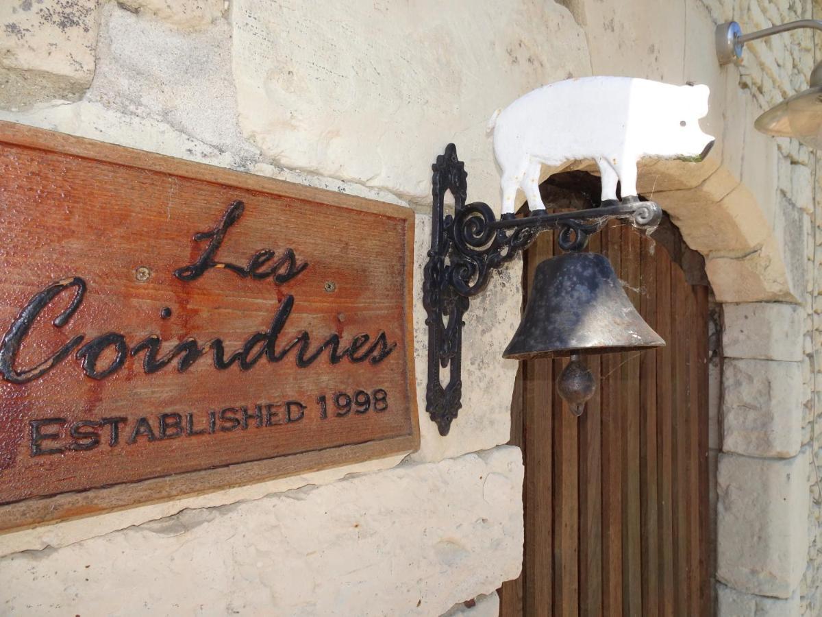 Les Coindries Villa Faye-la-Vineuse Buitenkant foto
