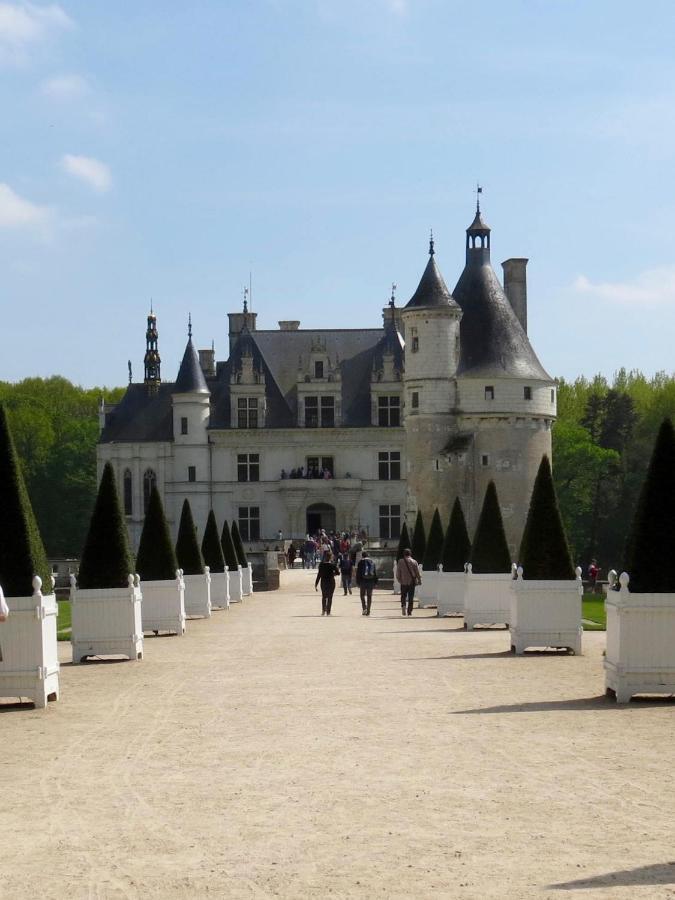 Les Coindries Villa Faye-la-Vineuse Buitenkant foto